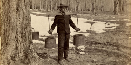 Maple Sugar Guided Hike