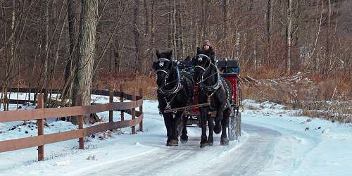 Horse Drawn Sleigh Ride at Cornerstone Ranch - Princeton, MA - North Central Massachusetts
