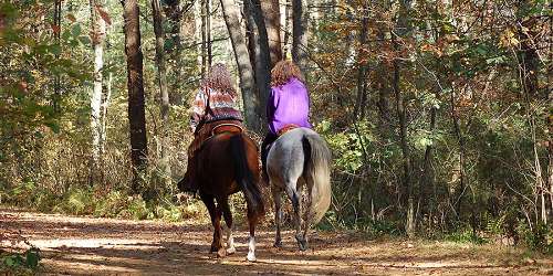 Horseback Riding - Visit North Central Massachusetts