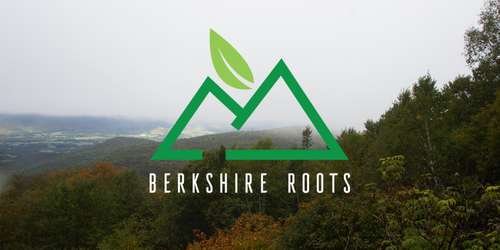 Berkshire Roots B - Boston & Pittsfield, MA