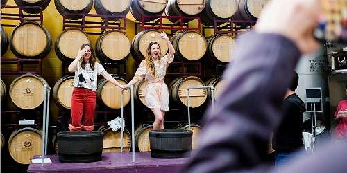 Grape Stomping - Newport Vineyards - Middletown, RI - Photo Credit Annabelle Henderson Photography