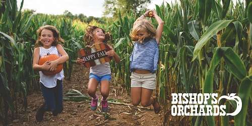 Fall Cornfield Kids - Bishop's Orchards - Guilford, CT