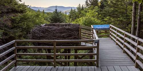 Flume Gorge at Franconia Notch - White Mountains, NH