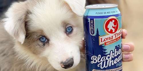 Blue Eye Puppy - Long Trail Brewery - Bridgewater Corners, VT