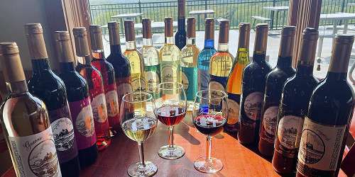 Wine Lineup at Gouveia Vineyards - Wallingford, CT