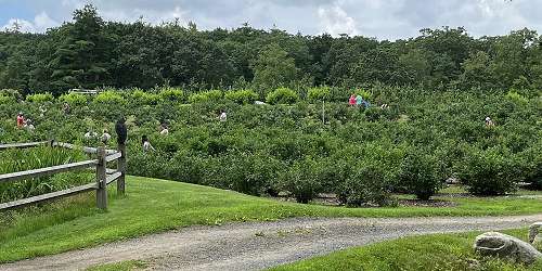 Red Apple Farm Orchard in Phillipston, MA - North Central Mass