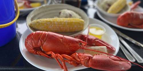 Lobster Ready to Shred - Photo Credit York Region Chamber of Commerce