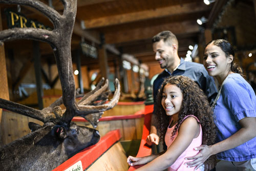 Guests with Reindeer at Santa's Village - Jefferson, NH