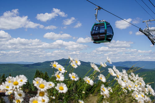 Skyway Gondola at Bretton Woods Ski Area - Bretton Woods, NH