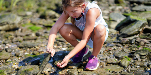 Coastal Exploration