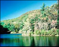 New England Beaches on Visit New England.com